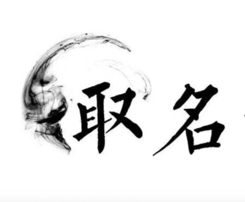  南开宝宝取名 大师一对一人工起名